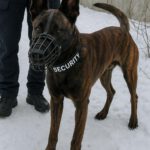 whatsapp image 2026 02 08 at 23.05.54 1 150x150